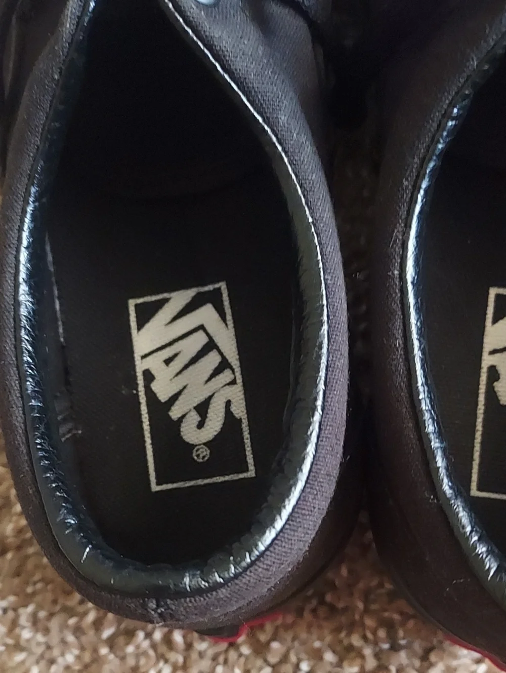 Vans Black Low-Top Sneakers with White Logo